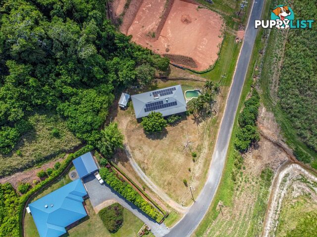 74 De Meio Drive LOWER DAINTREE QLD 4873