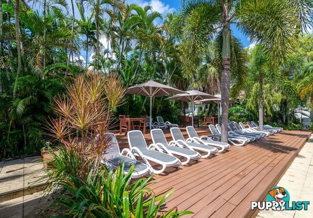 13/121-137 Port Douglas Road PORT DOUGLAS QLD 4877