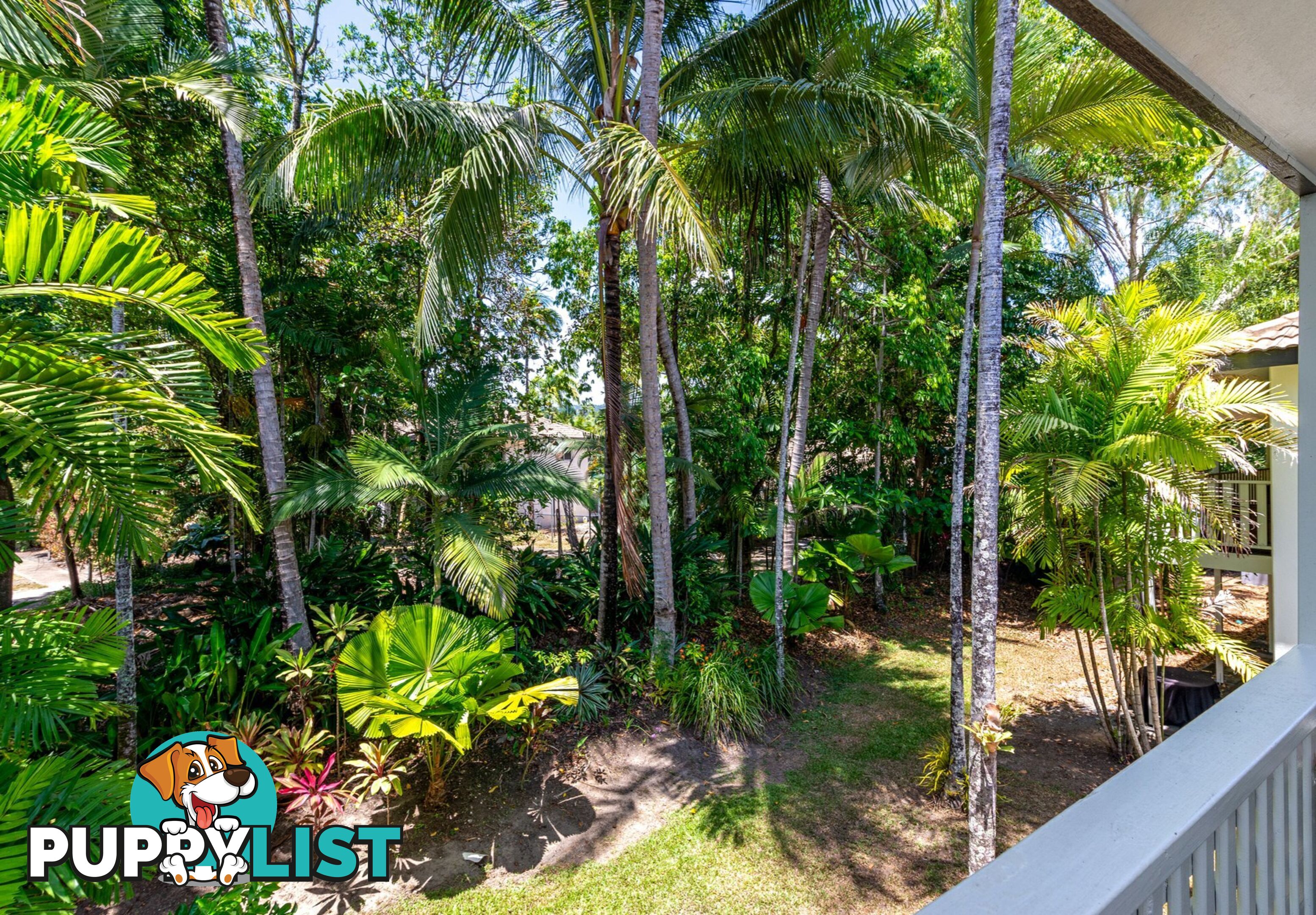 13/121-137 Port Douglas Road PORT DOUGLAS QLD 4877