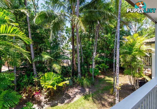 13/121-137 Port Douglas Road PORT DOUGLAS QLD 4877