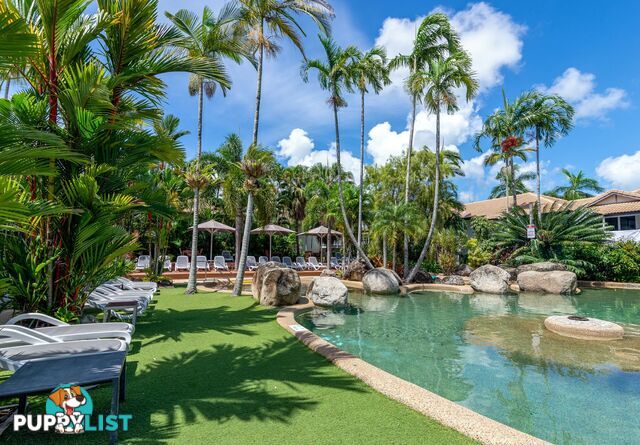 13/121-137 Port Douglas Road PORT DOUGLAS QLD 4877