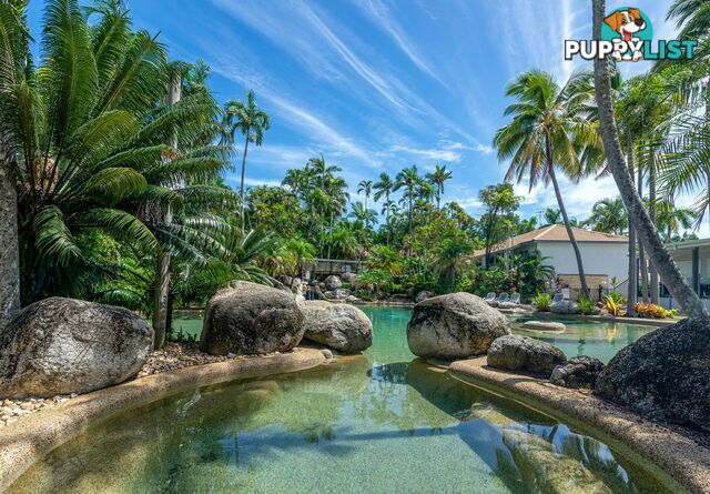 13/121-137 Port Douglas Road PORT DOUGLAS QLD 4877