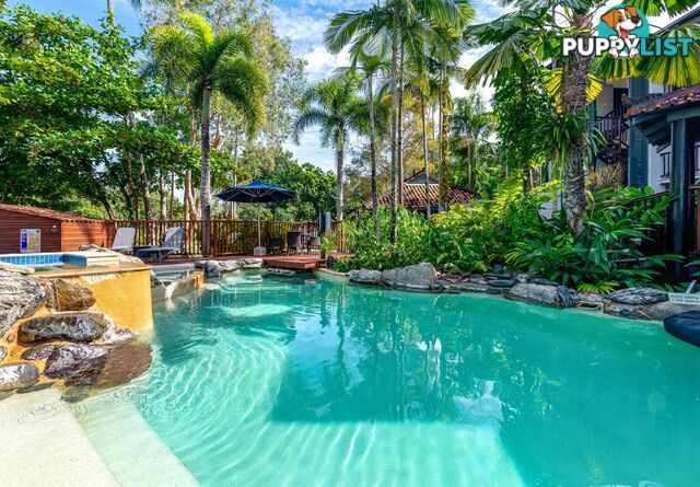 21 Hibiscus Gardens/22-24 Owen Street PORT DOUGLAS QLD 4877