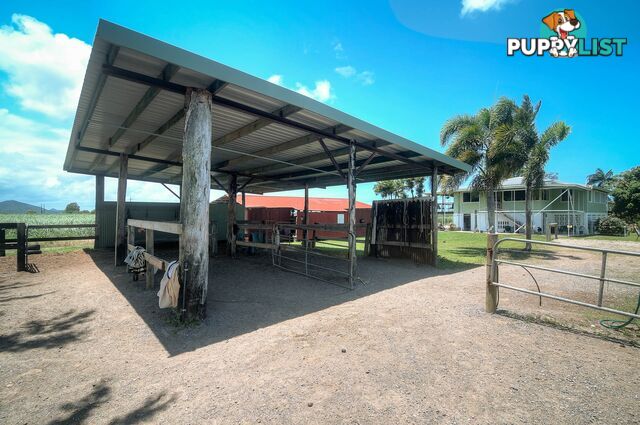 6613 Captain Cook Highway PORT DOUGLAS QLD 4877