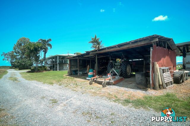 6613 Captain Cook Highway PORT DOUGLAS QLD 4877