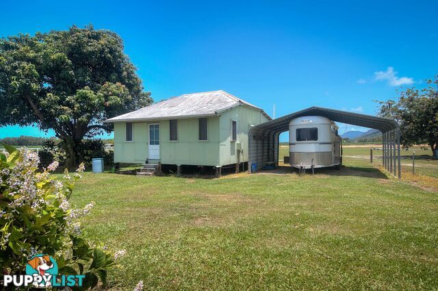 6613 Captain Cook Highway PORT DOUGLAS QLD 4877