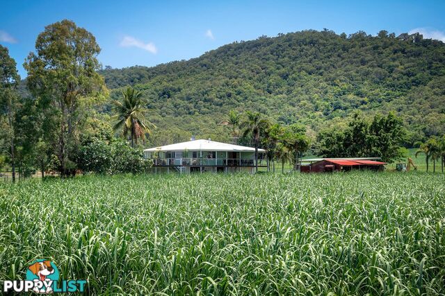 6613 Captain Cook Highway PORT DOUGLAS QLD 4877