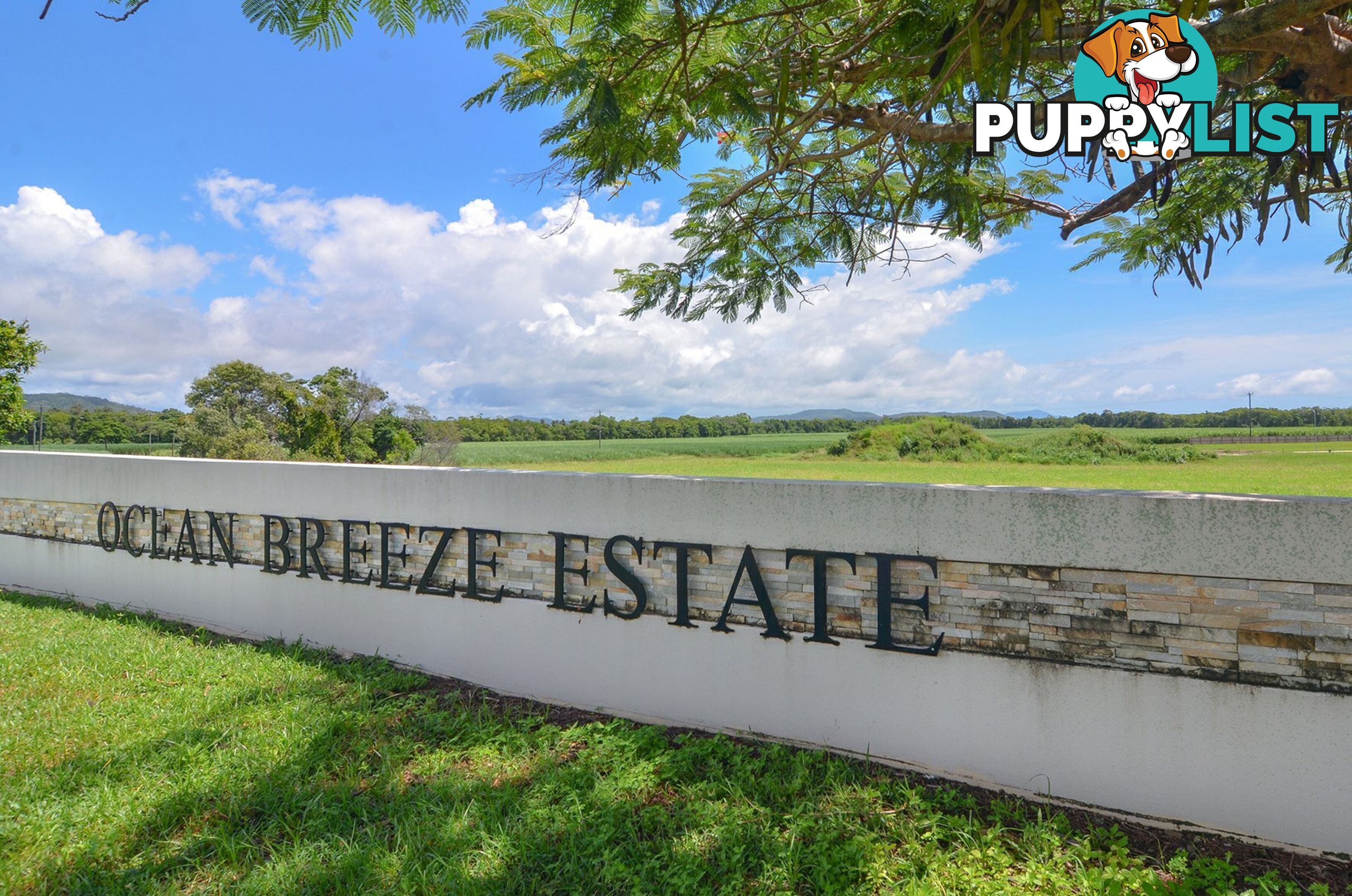 9 Barrbal Drive COOYA BEACH QLD 4873