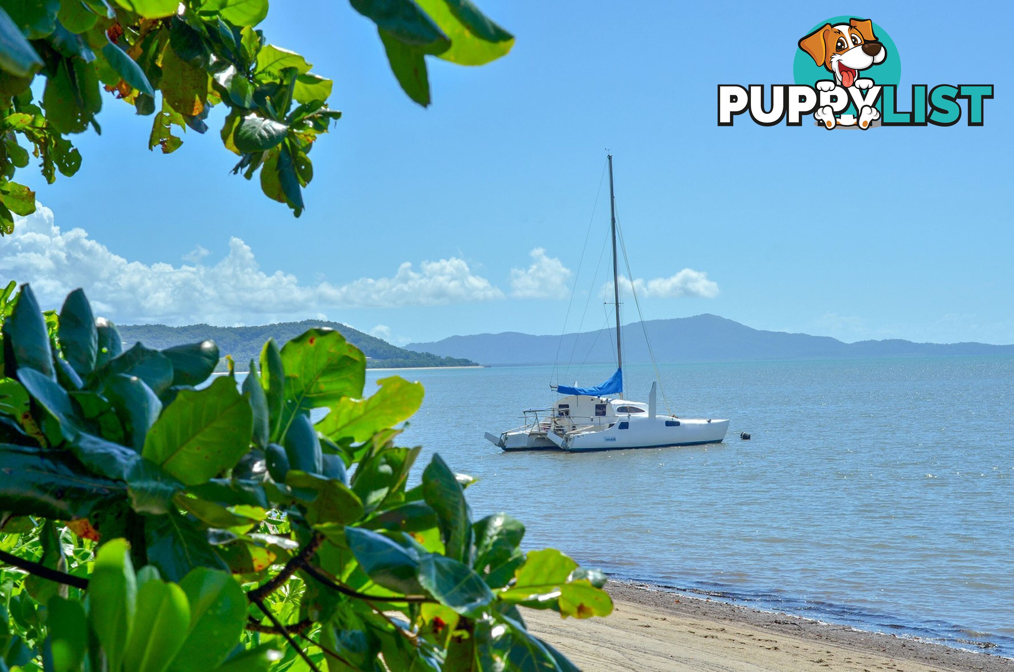 9 Barrbal Drive COOYA BEACH QLD 4873