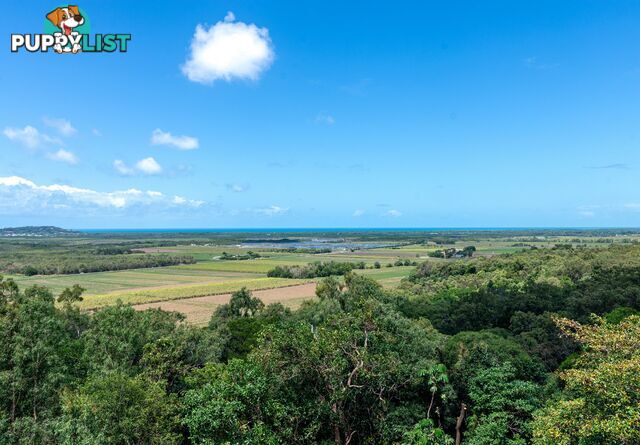 68 Ocean View Road Killaloe PORT DOUGLAS QLD 4877