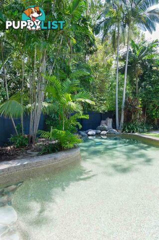 Unit 1/15 Triton Crescent PORT DOUGLAS QLD 4877