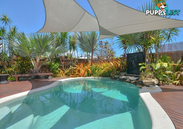 8 Julaji Close COOYA BEACH QLD 4873