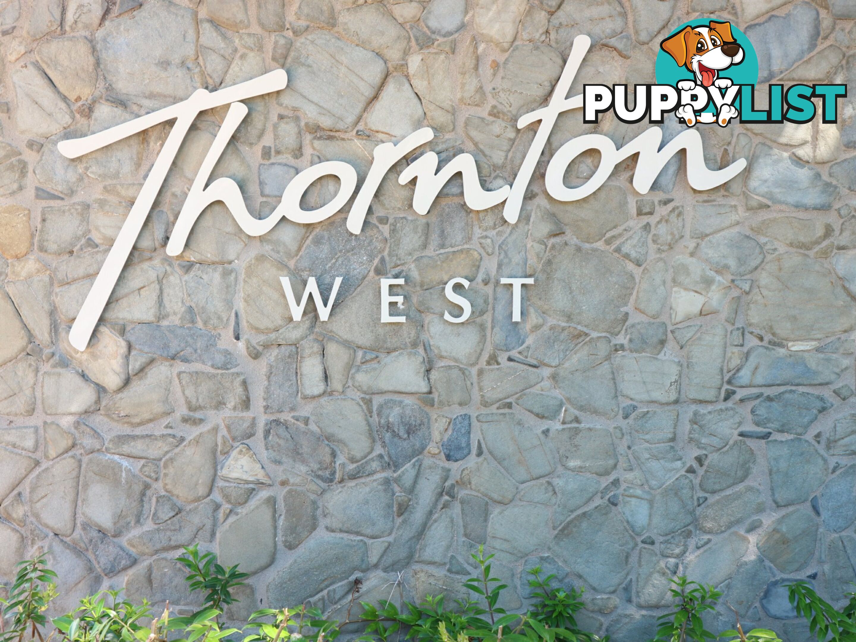 4 Thorntons West/11-17 St Crispins Avenue PORT DOUGLAS QLD 4877