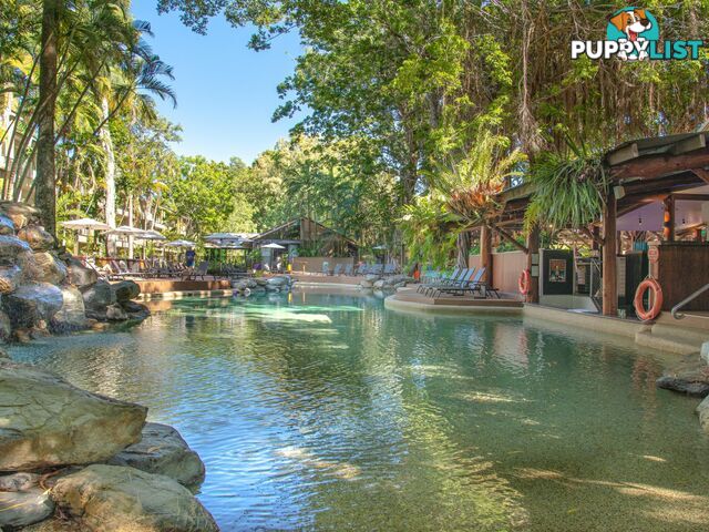 PORT DOUGLAS QLD 4877