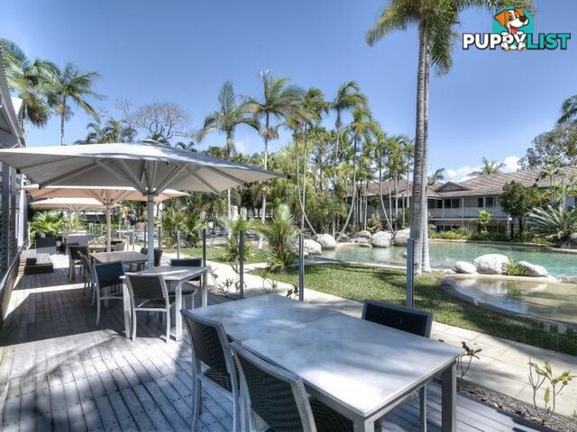 40 Reef Resort/121 Port Douglas Road PORT DOUGLAS QLD 4877