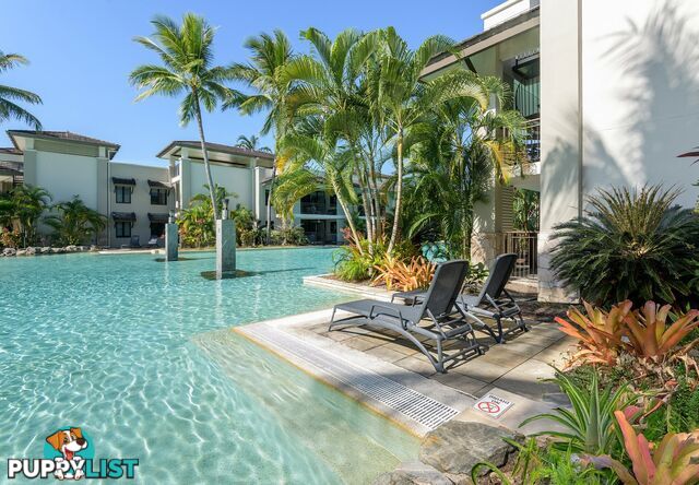 135-136 Sea Temple/22-36 Mitre Street PORT DOUGLAS QLD 4877
