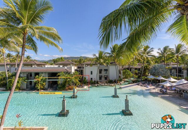 135-136 Sea Temple/22-36 Mitre Street PORT DOUGLAS QLD 4877