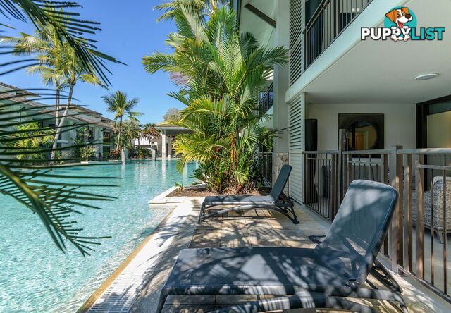 135-136 Sea Temple/22-36 Mitre Street PORT DOUGLAS QLD 4877