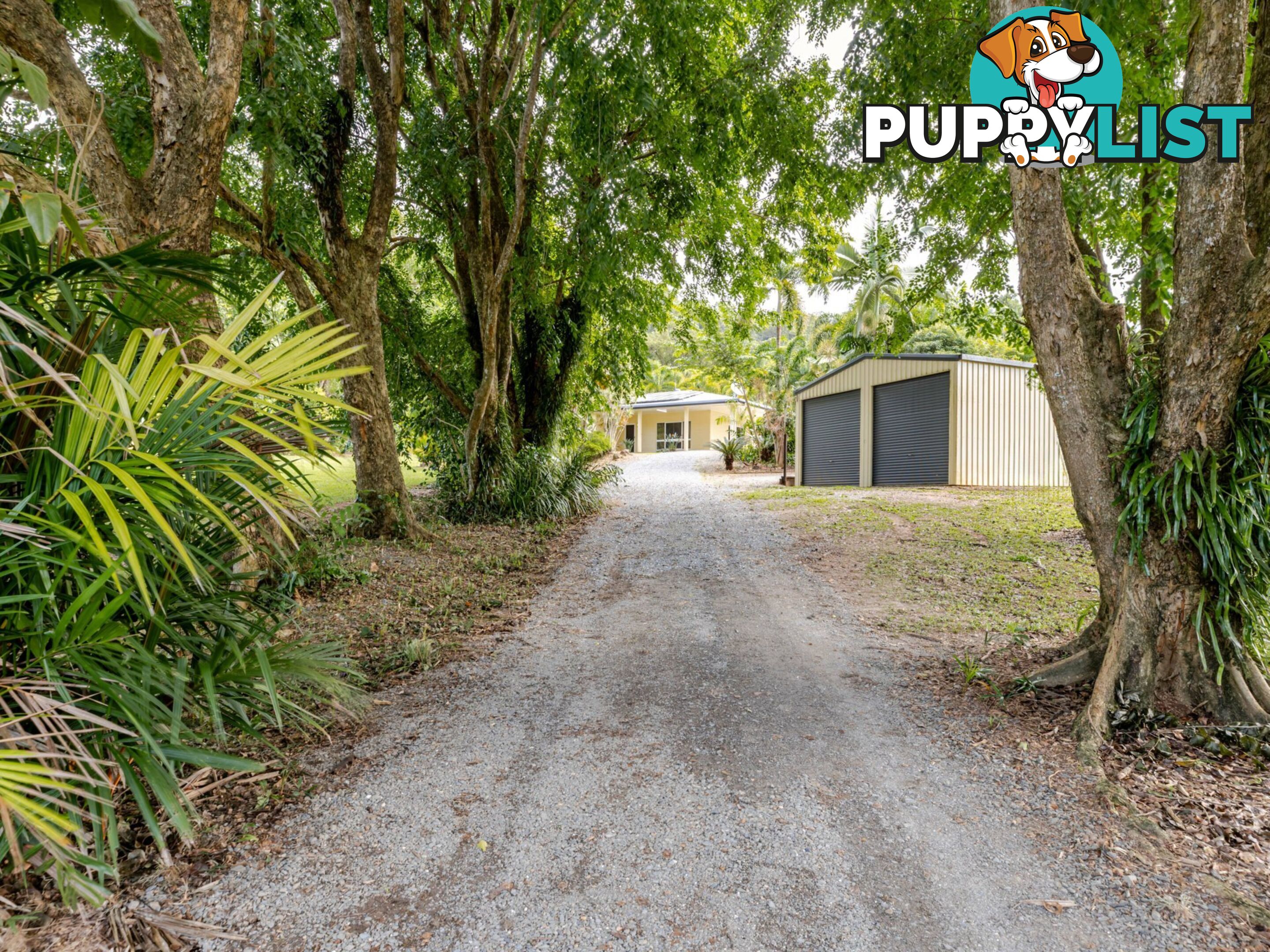 6-8 Jabeva Close MIALLO QLD 4873