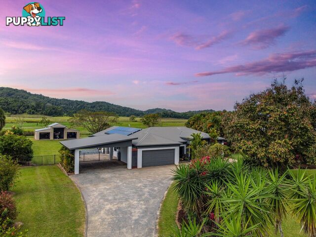 234 Bamboo Creek Road BAMBOO QLD 4873