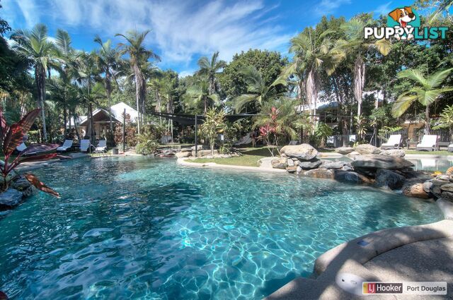 26 Paradise Links/70 Nautilus Street PORT DOUGLAS QLD 4877