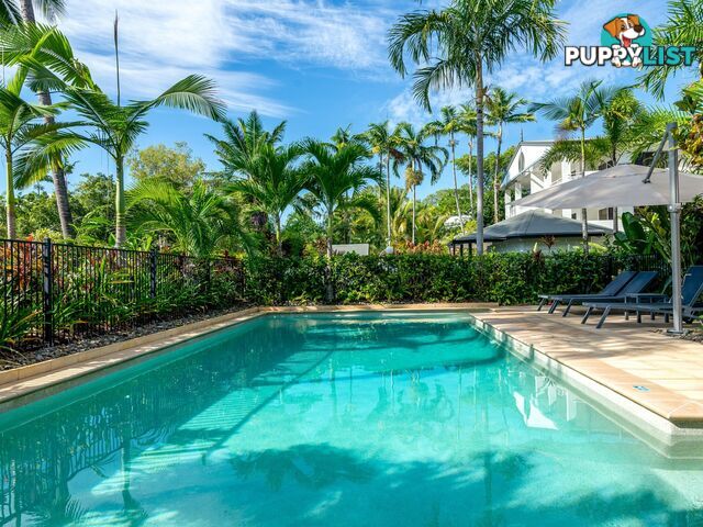 13/10 Davidson Street PORT DOUGLAS QLD 4877