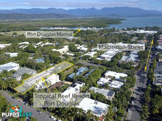 13/10 Davidson Street PORT DOUGLAS QLD 4877