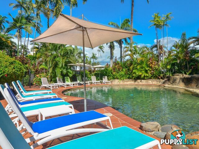 217 Club Tropical/2-4 Macrossan Street PORT DOUGLAS QLD 4877