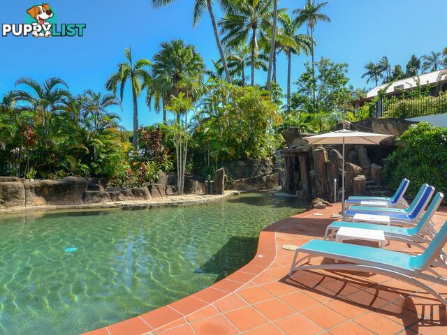 217 Club Tropical/2-4 Macrossan Street PORT DOUGLAS QLD 4877