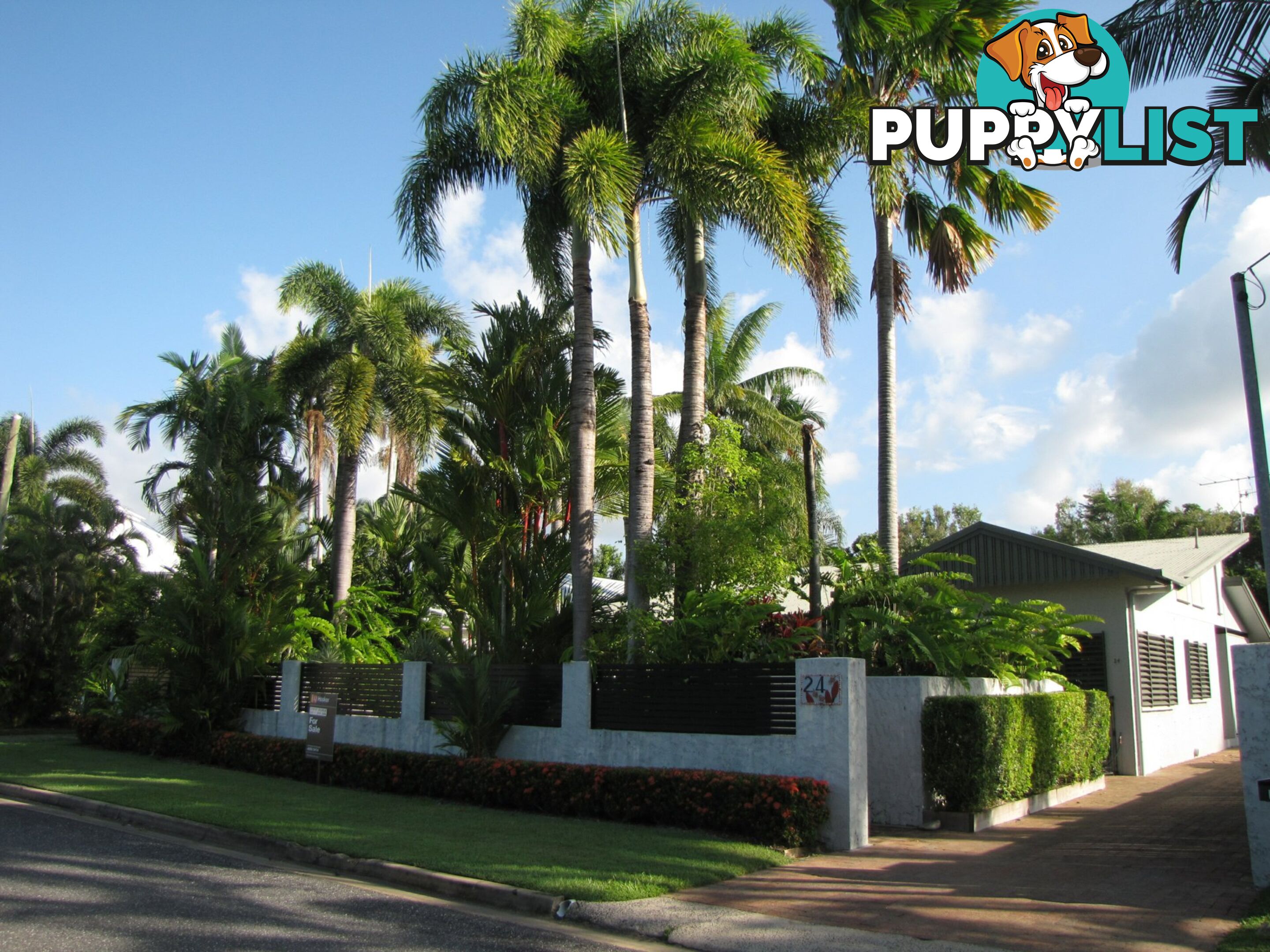 24 Limpet Avenue PORT DOUGLAS QLD 4877