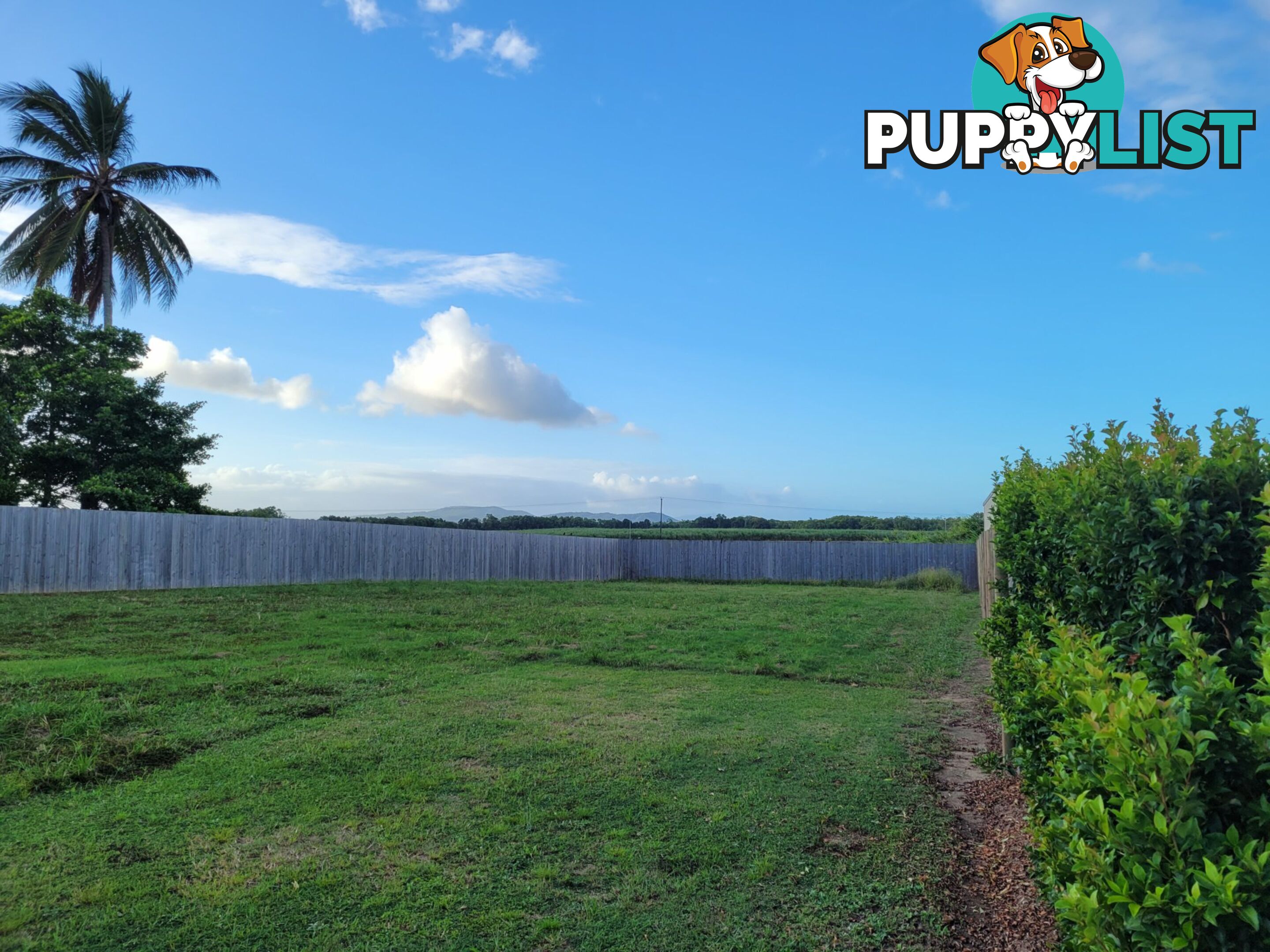 73 Cooya Beach Road COOYA BEACH QLD 4873