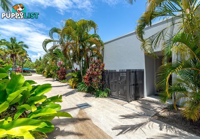 8 Pool/19-37 St Crispins Avenue PORT DOUGLAS QLD 4877