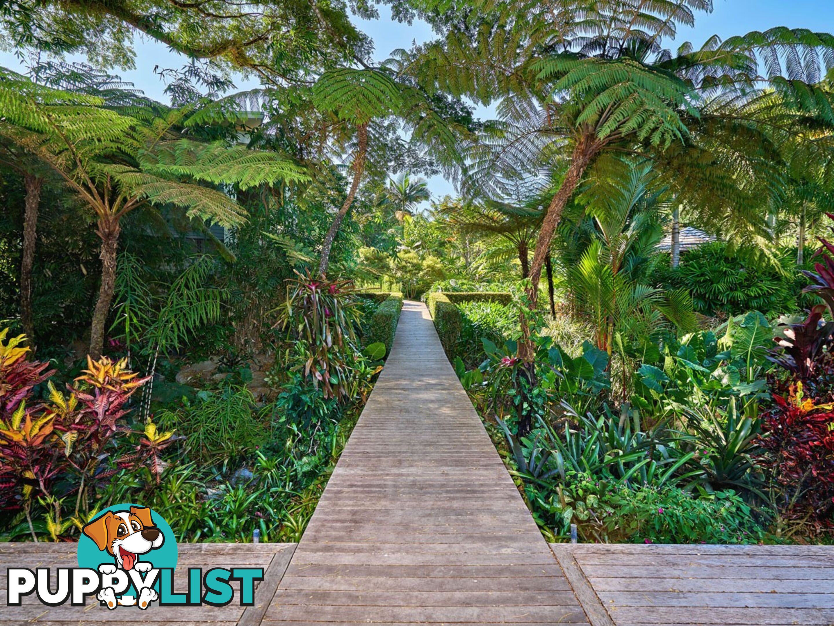 Rainforest Estate/82 Santacatterina Road FINLAYVALE QLD 4873