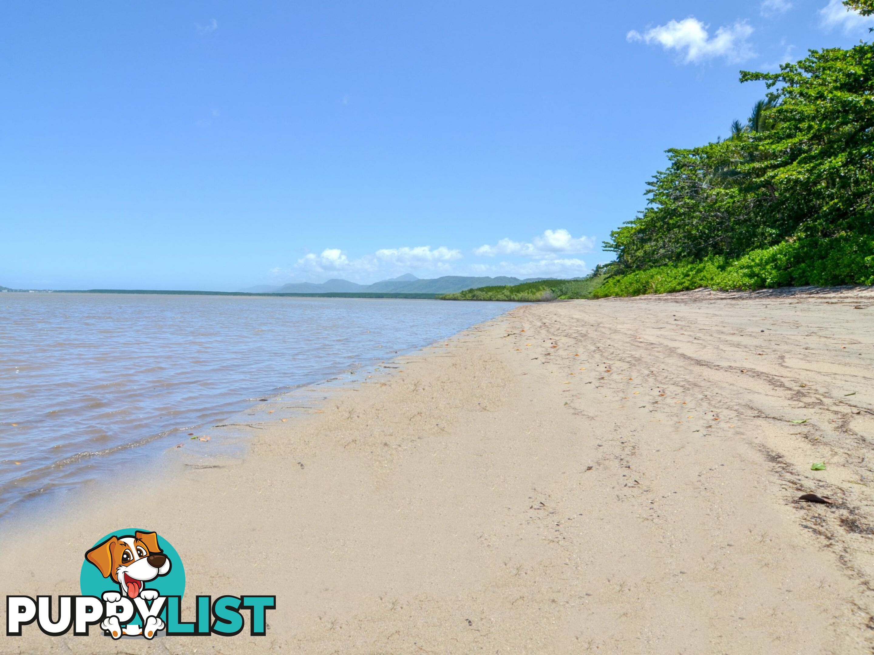 BUILD NOW $40,000 in Discounts & Grants Available COOYA BEACH QLD 4873