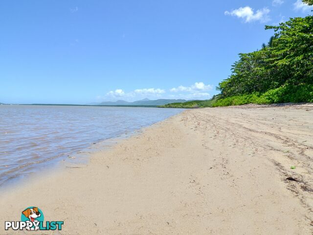 BUILD NOW $40,000 in Discounts & Grants Available COOYA BEACH QLD 4873