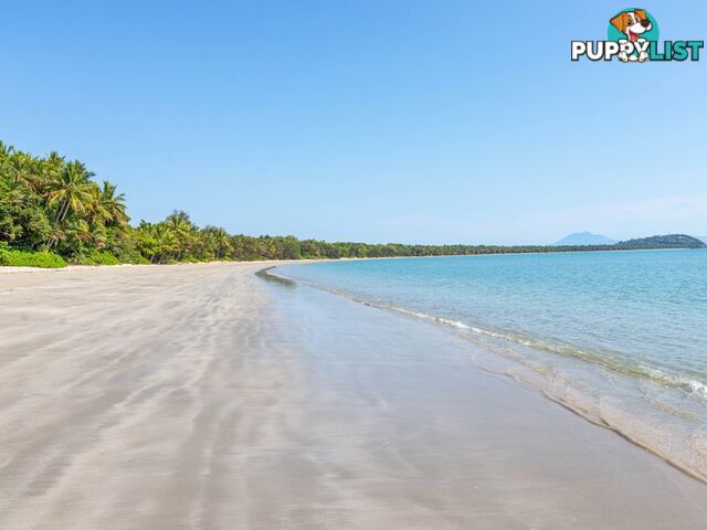 85 Mitre Street PORT DOUGLAS QLD 4877