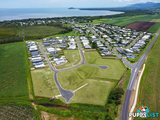 56 Barrbal Drive COOYA BEACH QLD 4873