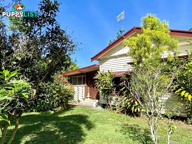 4 Jack Street MOSSMAN QLD 4873