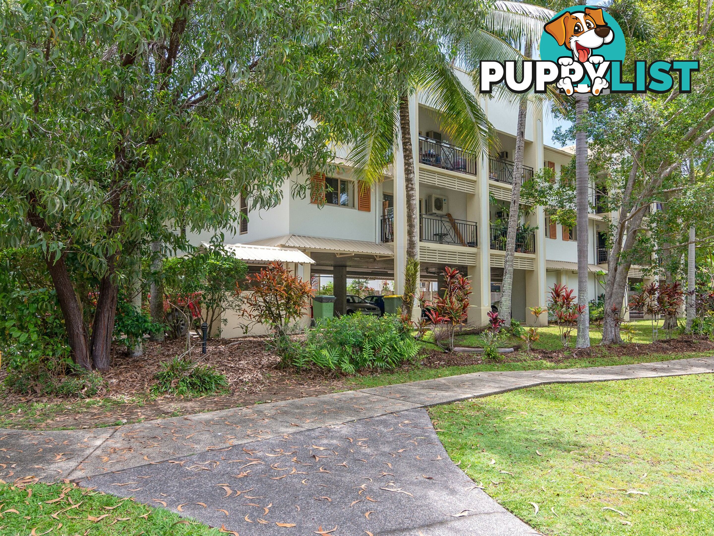 Apartment 3/42 Mudlo Street PORT DOUGLAS QLD 4877