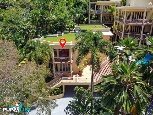 2 The Hill Apartments/48 Murphy Street PORT DOUGLAS QLD 4877