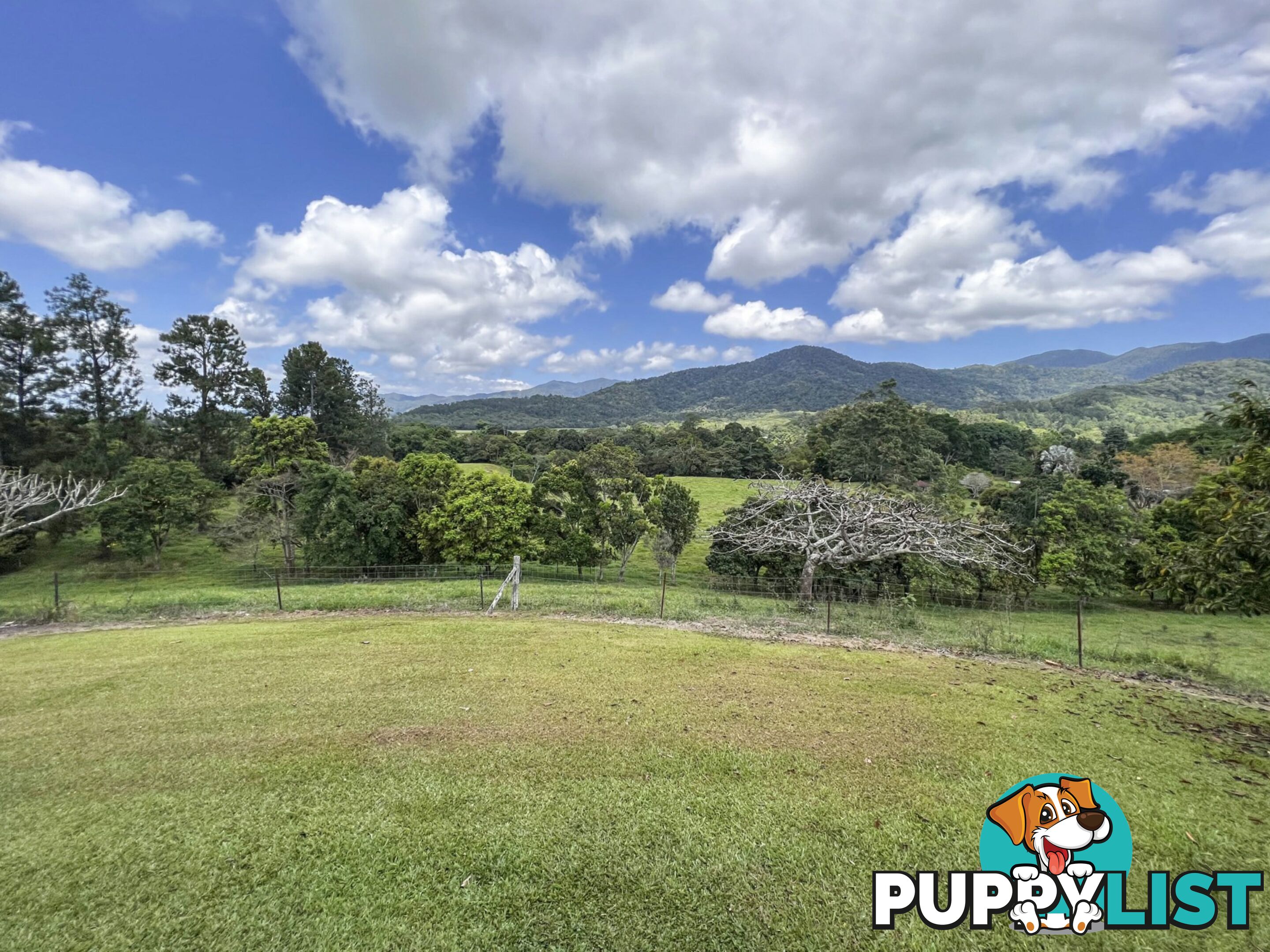 5 Mount Lewis Road JULATTEN QLD 4871