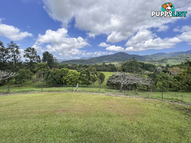 5 Mount Lewis Road JULATTEN QLD 4871