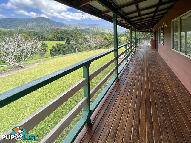 5 Mount Lewis Road JULATTEN QLD 4871