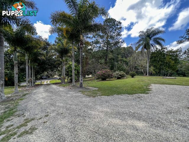 5 Mount Lewis Road JULATTEN QLD 4871