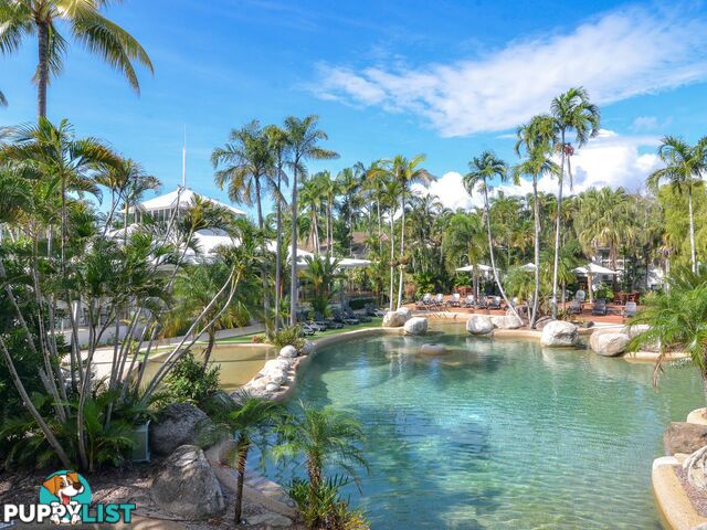 38 Reef Resort/121-137 Port Douglas Road PORT DOUGLAS QLD 4877