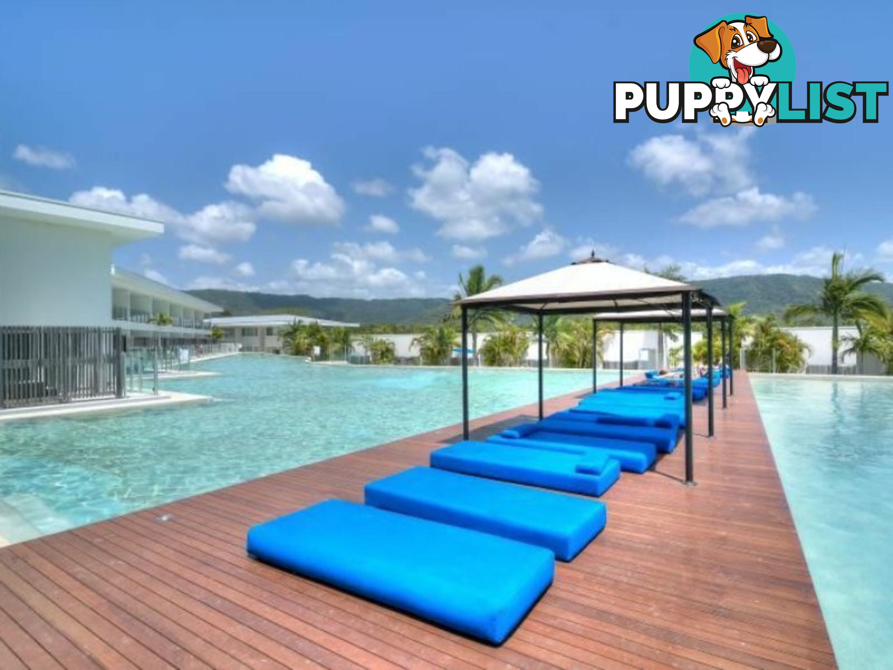 36 Pool/19-37 St Crispin's Ave PORT DOUGLAS QLD 4877