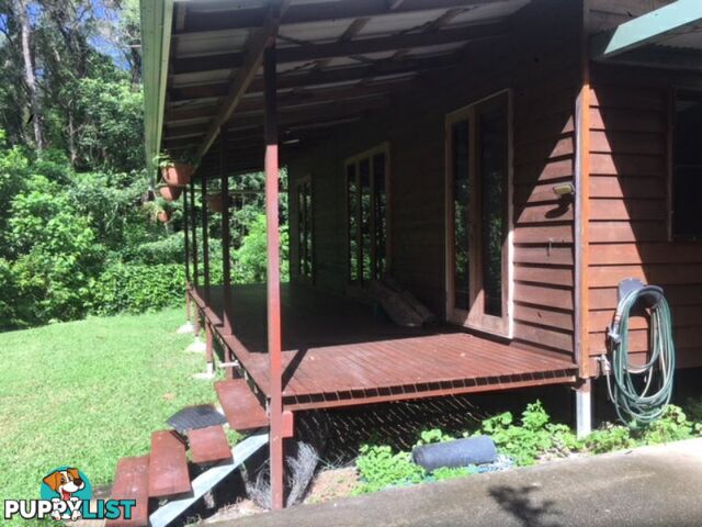 841 Cape Tribulation Road, Kimberley DAINTREE QLD 4873