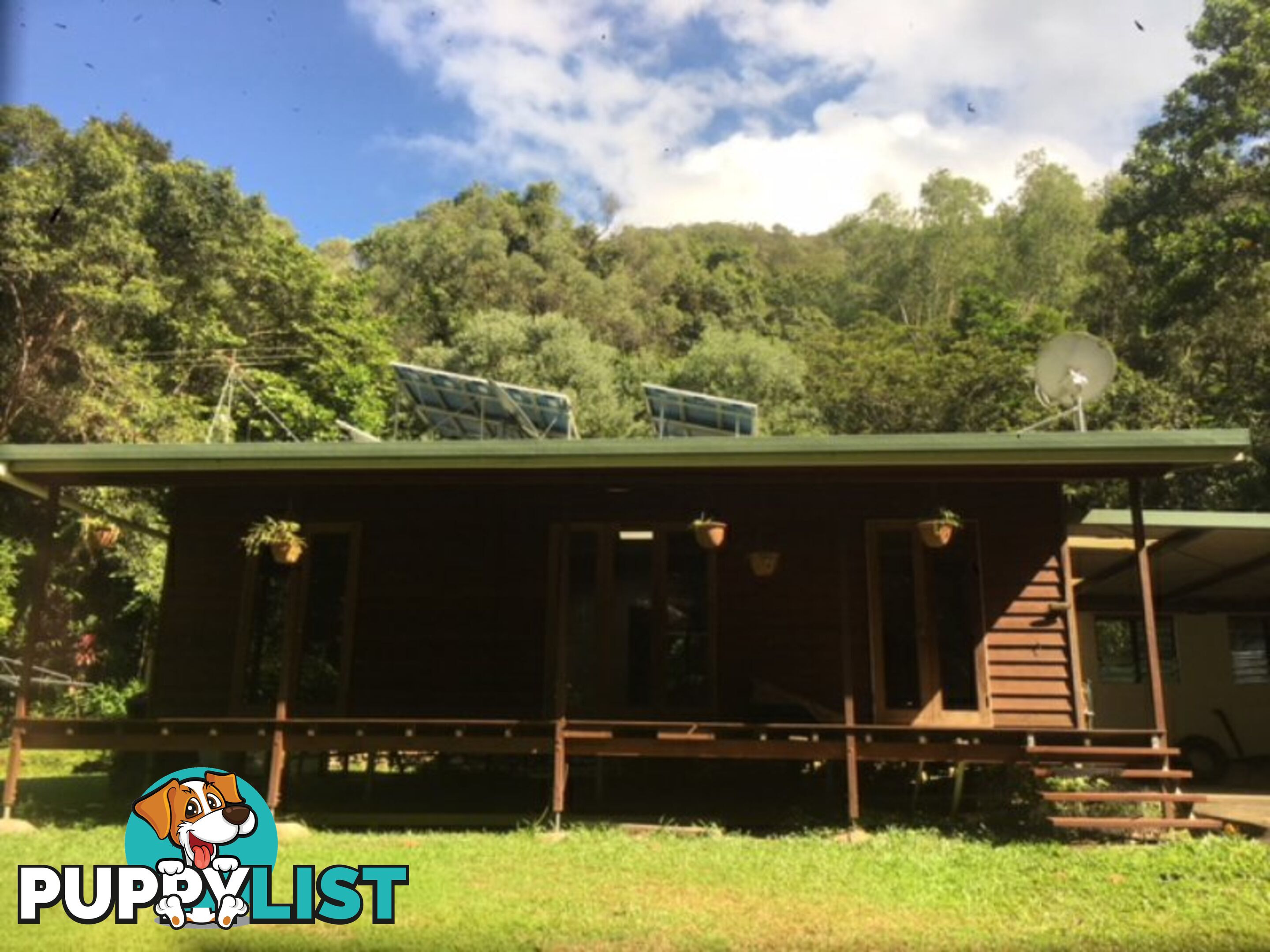 841 Cape Tribulation Road, Kimberley DAINTREE QLD 4873