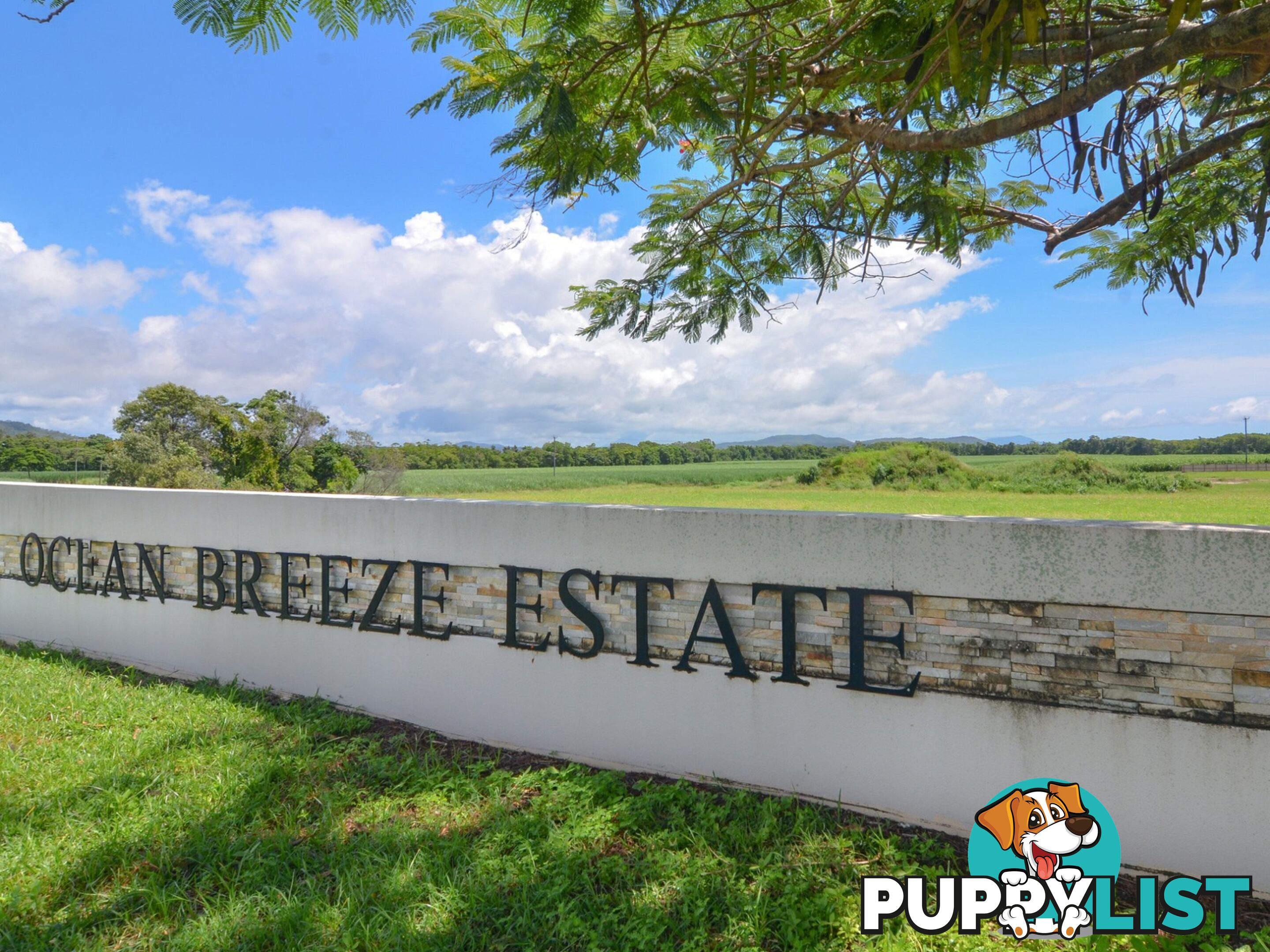 3 Kurrubal Close COOYA BEACH QLD 4873