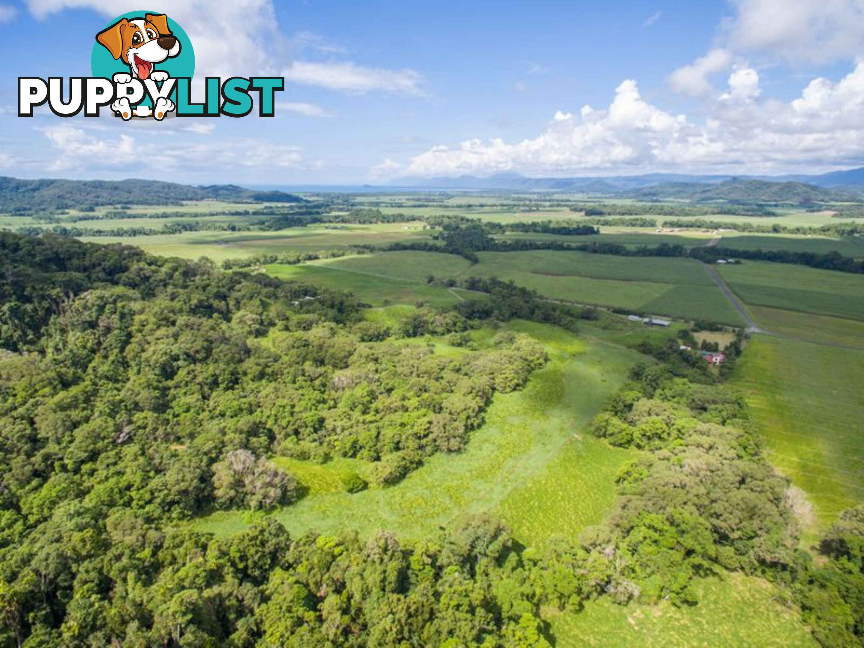 Lot 4 & 5 Davidson Road WHYANBEEL QLD 4873